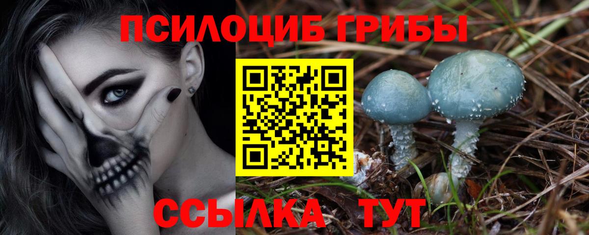 цена   Вход с VPN  Псилоцибиновые грибы GOLDEN TEACHER  Чапаевск  Галлюциногенные грибы мухоморы 